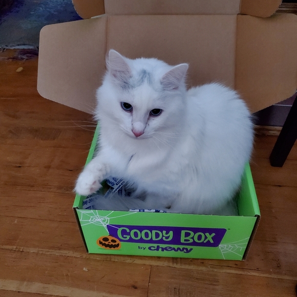 Meet your Posher, T. Enigma - Picture 4 of 4